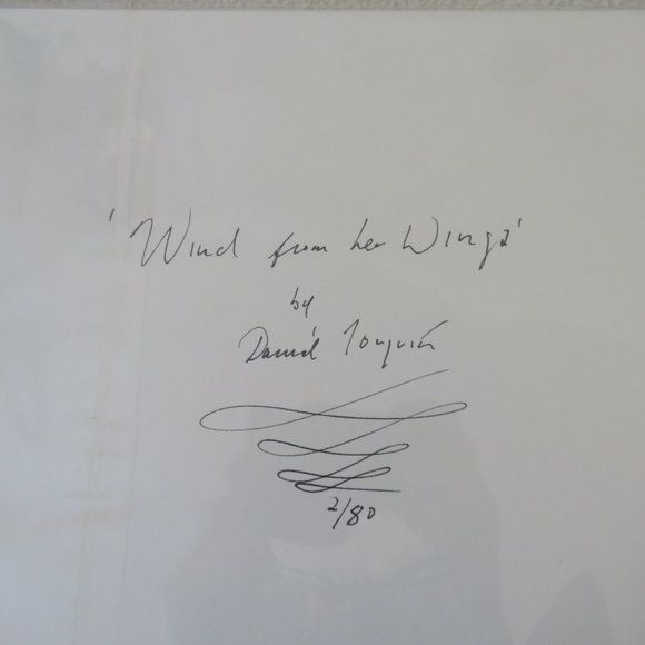 Hummingbird Print - Picture 3 of 5